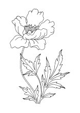 Ausmalbild Blumenwiese