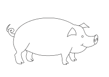 Schweinchen Zeichnen Einfach