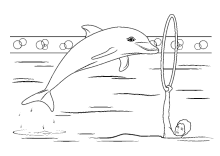 Malvorlagen Fische Delfine Wale Lustige Ausmalbilder Fisch Delfin Wal